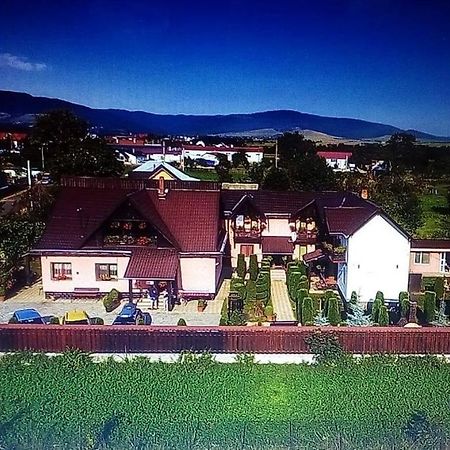 Pensiunea Denisa Sacalusesti エクステリア 写真